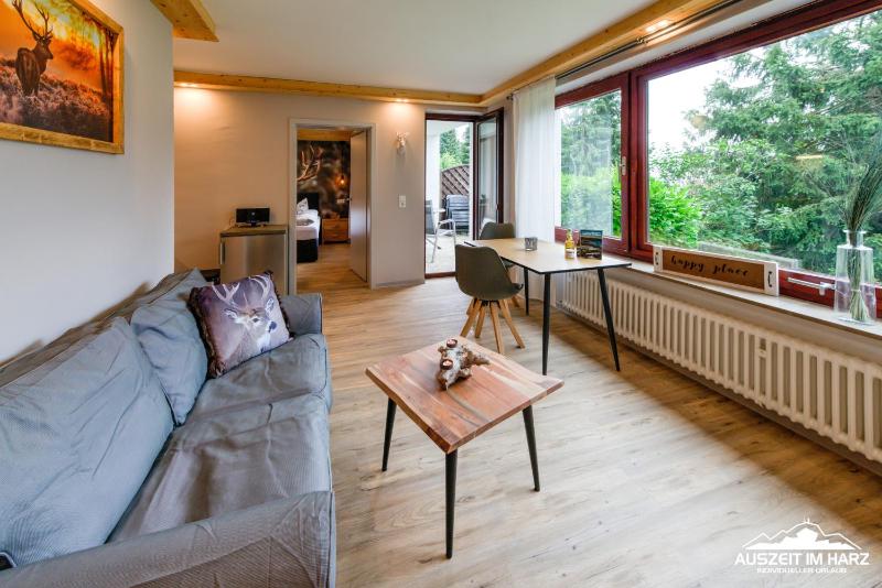 Auszeit-im-Harz Haus 3 Wohnung 1 - image 9