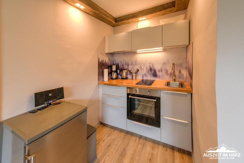 Auszeit-im-Harz Haus 3 Wohnung 2 - image 24