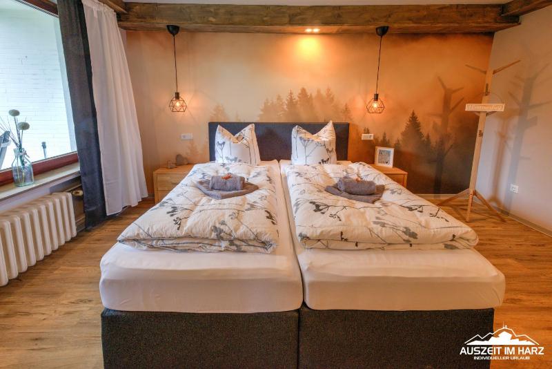 Auszeit-im-Harz Haus 3 Wohnung 2 - image 23
