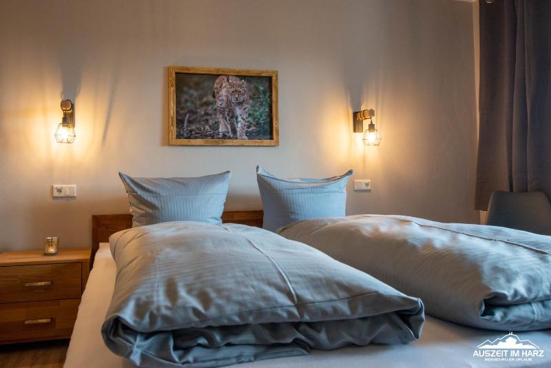 Auszeit-im-Harz Haus 3 Wohnung 5 - image 10