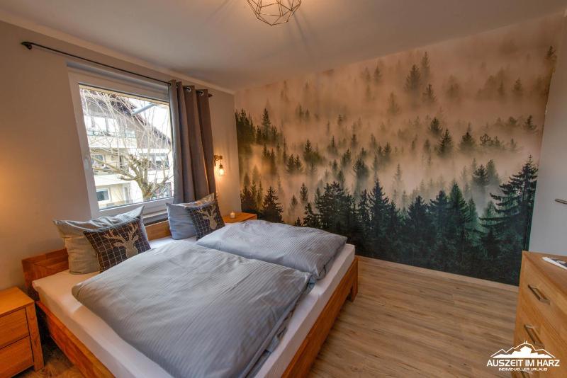 Auszeit-im-Harz Haus 3 Wohnung 5 - image 11