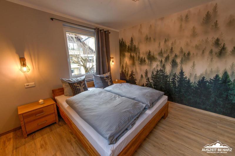 Auszeit-im-Harz Haus 3 Wohnung 5 - image 35