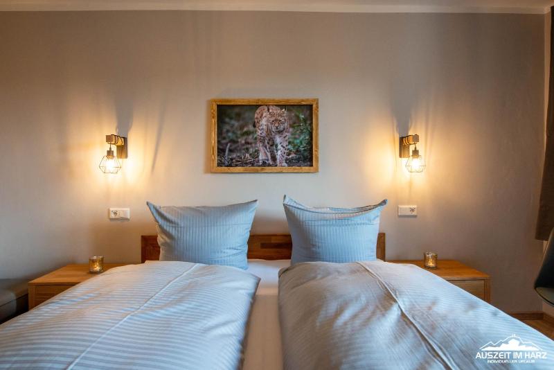 Auszeit-im-Harz Haus 3 Wohnung 5 - image 22