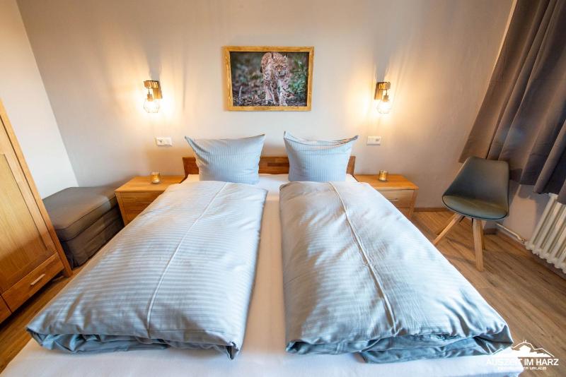 Auszeit-im-Harz Haus 3 Wohnung 5 - image 25
