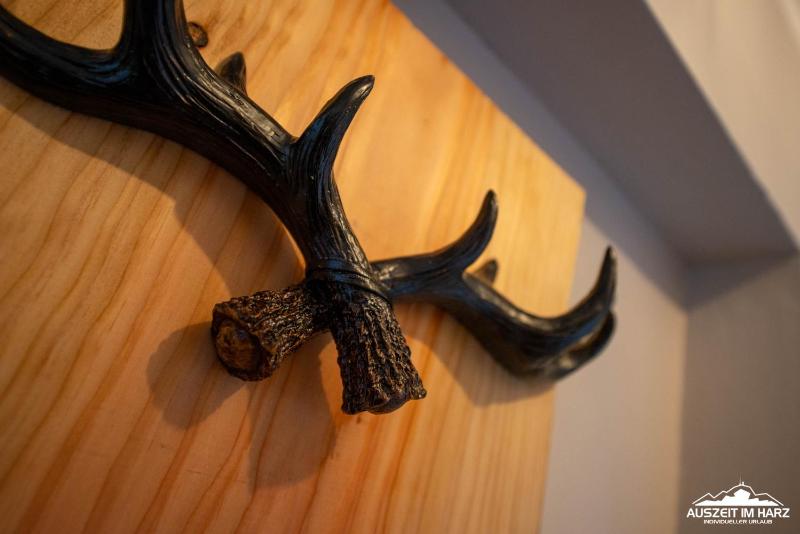 Auszeit-im-Harz Haus 3 Wohnung 3 - image 34