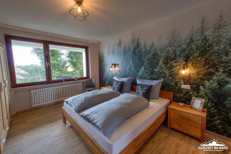 Auszeit-im-Harz Haus 3 Wohnung 4 - image 18