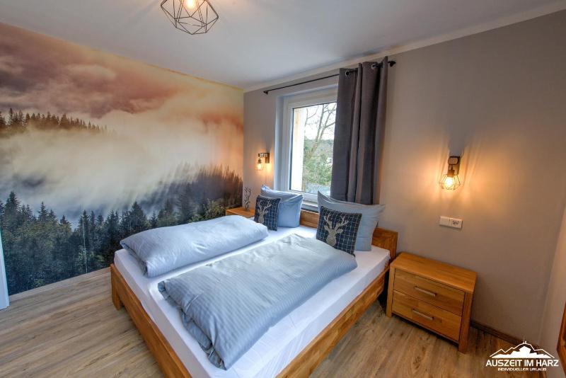 Auszeit-im-Harz Haus 3 Wohnung 4 - image 4