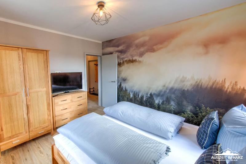 Auszeit-im-Harz Haus 3 Wohnung 4 - image 27