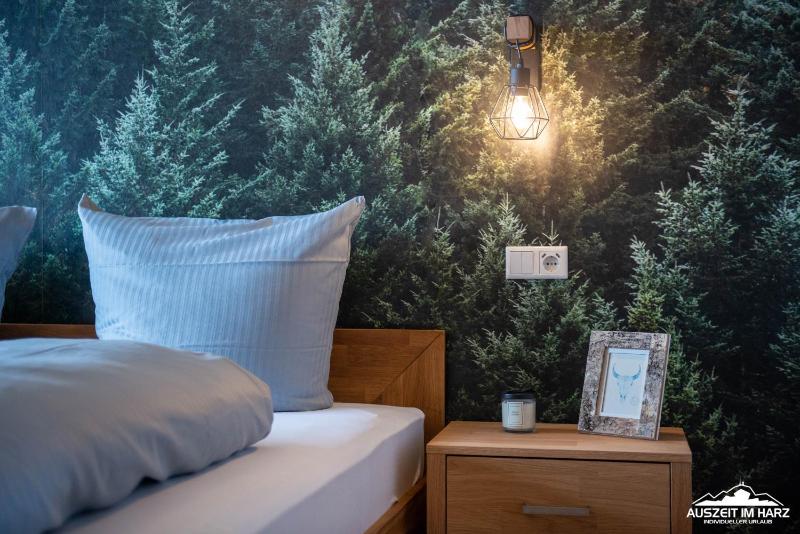 Auszeit-im-Harz Haus 3 Wohnung 4 - image 32