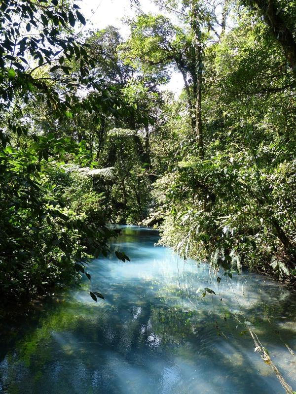 Cabinas Río Frío - image 6