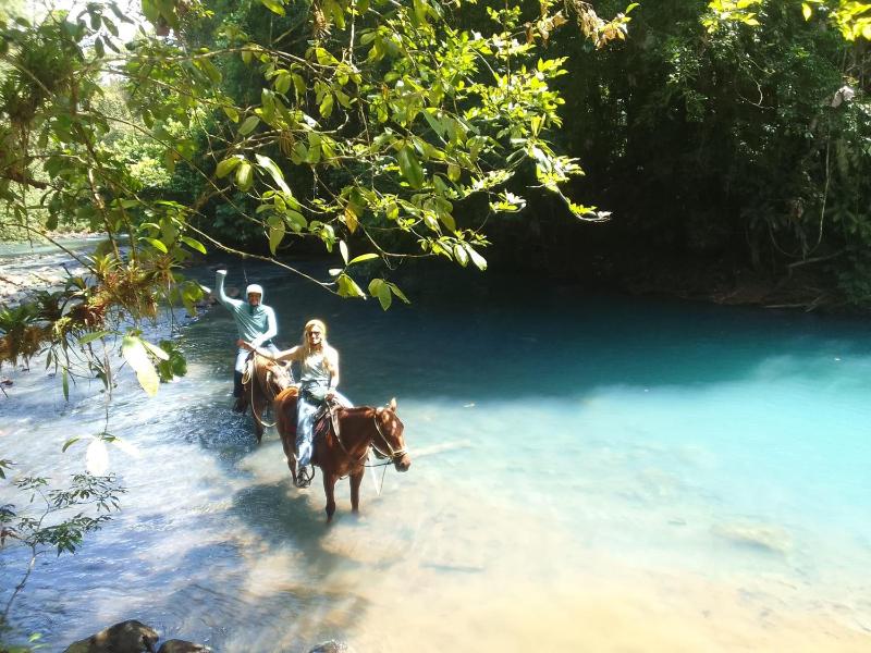 Cabinas Río Frío - image 15