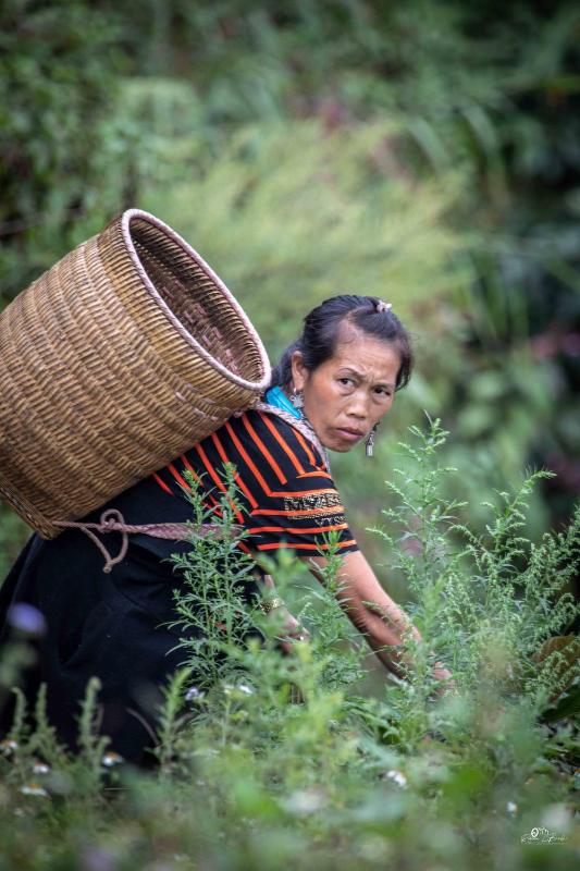 Sapa Riverside Homestay - image 39