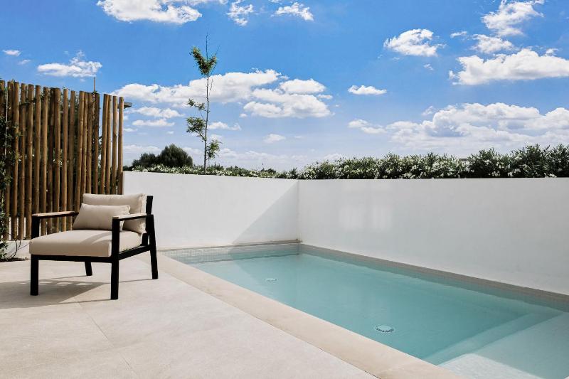 One Bedroom Suite with Private Pool image 4