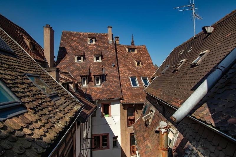 L'Or - Typical Alsacian apartment in Strasbourg - image 5