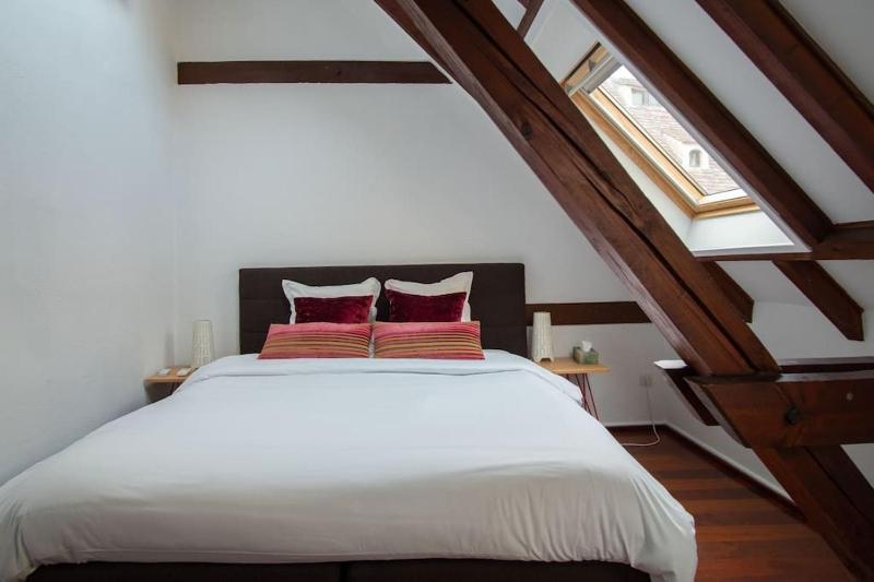 L'Or - Typical Alsacian apartment in Strasbourg - image 2