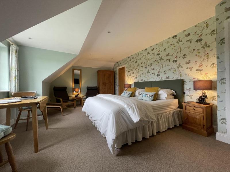 Superior Double Room image 1