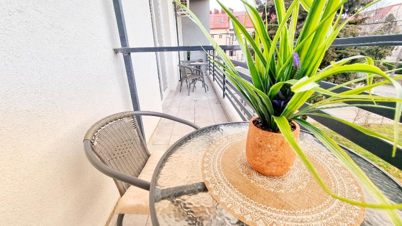 KYD VILA - Studiouri si Apartamente la 100m de Plaja Debarcader - image 14