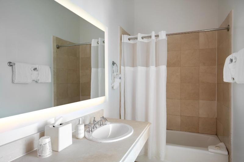 Junior King Suite image 4