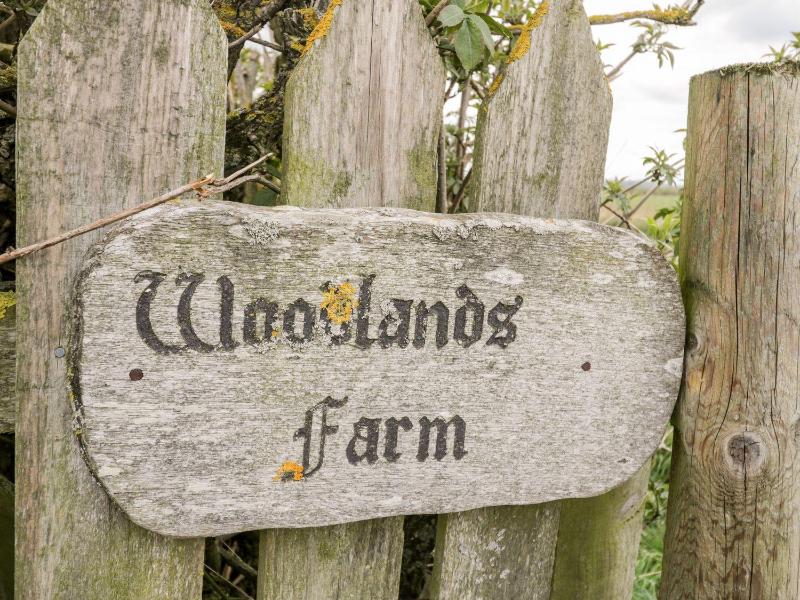 Woodlands Cottage - image 24