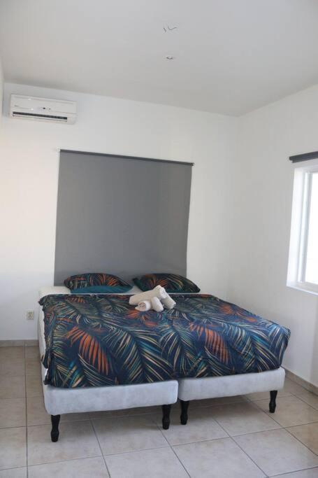 Mambo Beach Casa Ofori at Baracuda - image 3