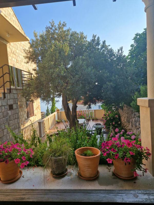 Apartment Stella - image 18