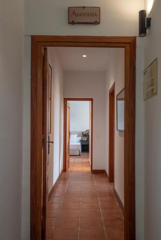 Family Suite image 2