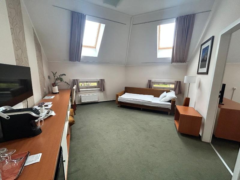 One-Bedroom Suite image 4