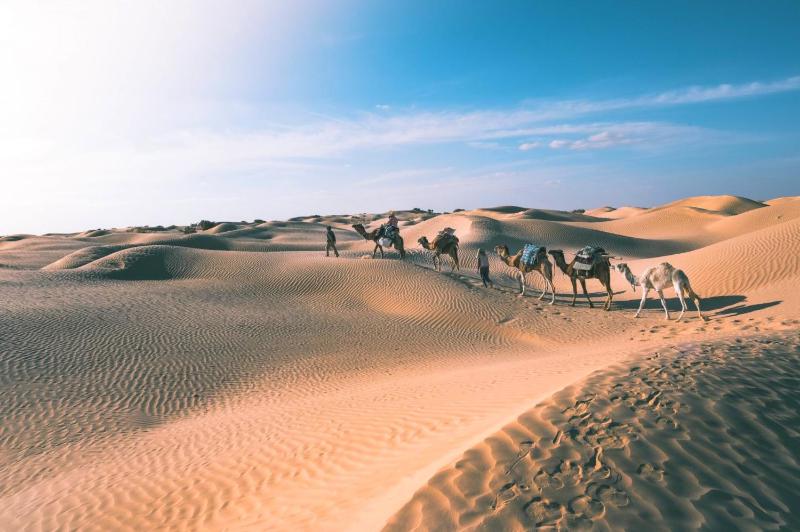 Merzouga Authentic Camps - image 27