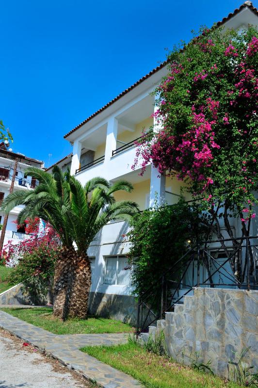 Ifigenia Hotel - image 24