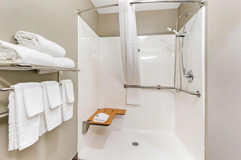 King Room with Roll in Shower image 3