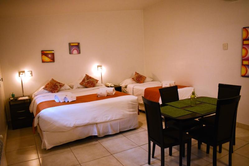 Umbral del Aconcagua - Apart Hotel - Mendoza - image 1