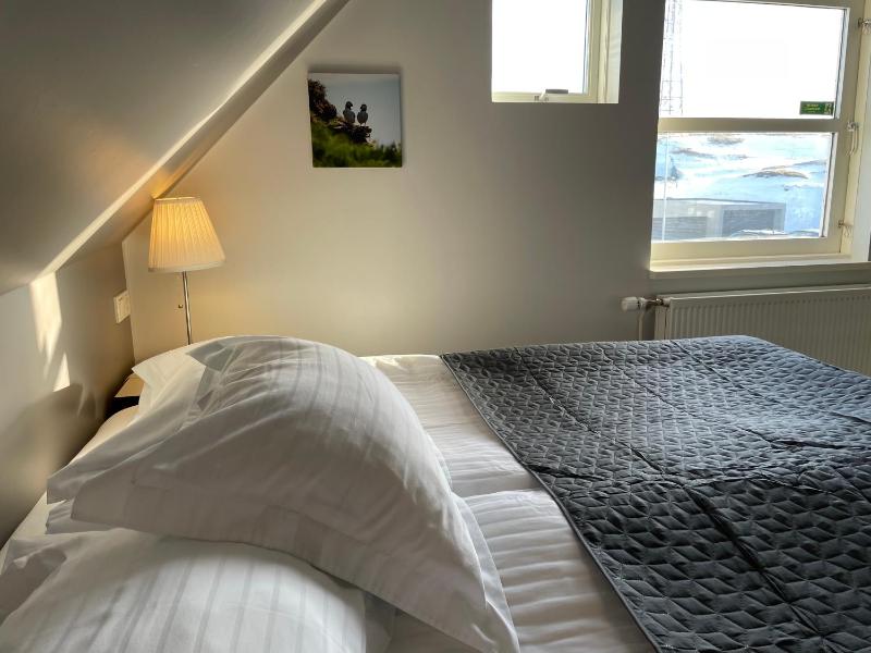 Standard Double Room image 1
