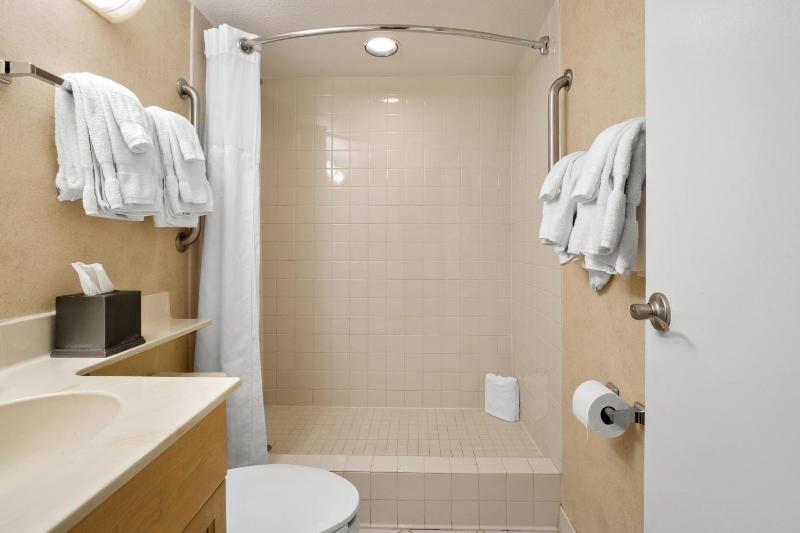 Junior Suite image 4