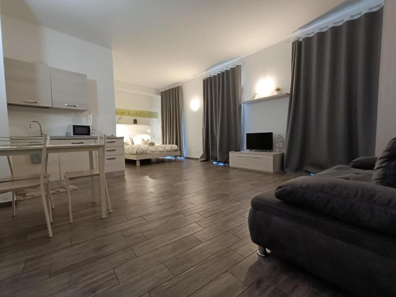 Studio Apartment image 4