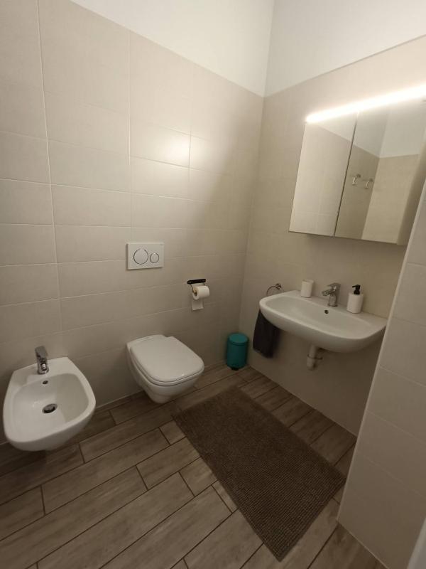 One-Bedroom Apartment image 4