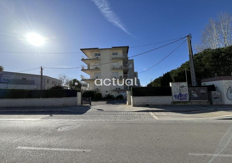 Ridaura - image 8