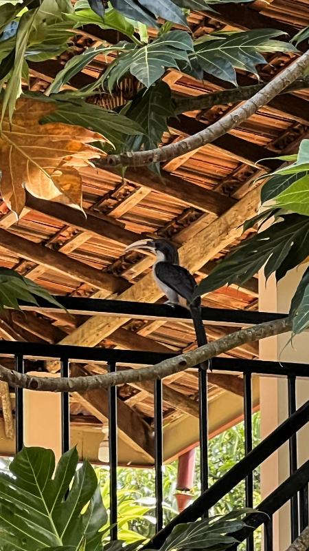 Relax Beach House - image 44