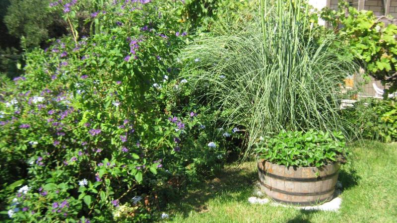 Perun Guest House - image 10
