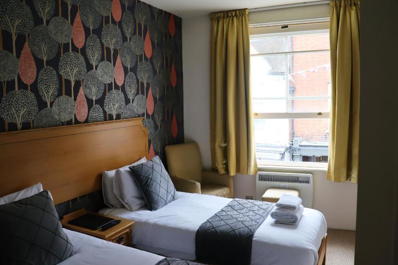 Standard Twin Room image 3