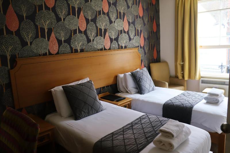 Standard Twin Room image 1