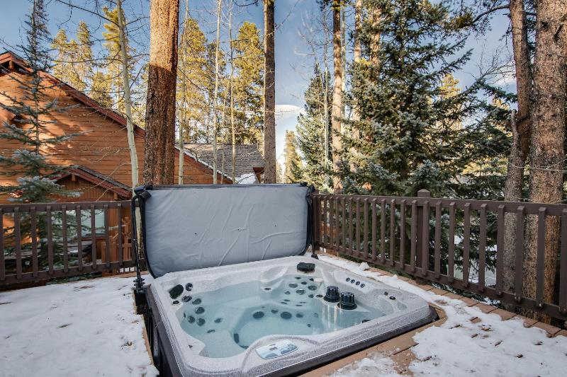 Park Forest Bear’s Den Townhome: Private Hot Tub - image 11