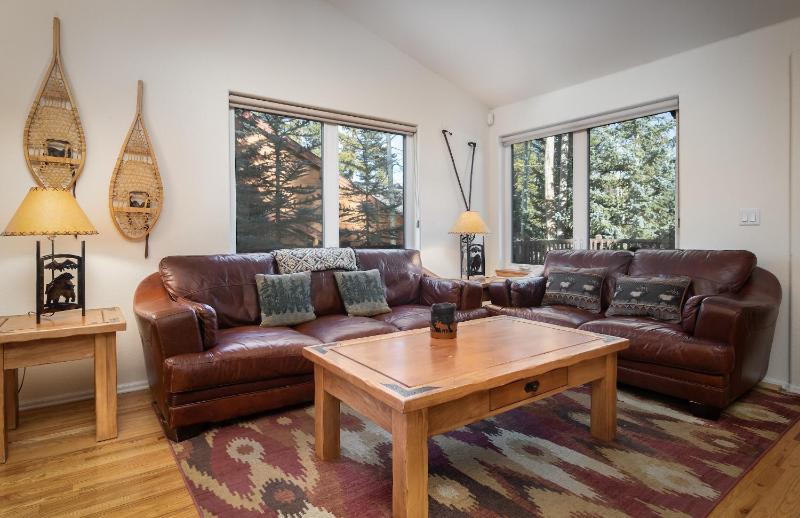 Park Forest Bear’s Den Townhome: Private Hot Tub - image 15