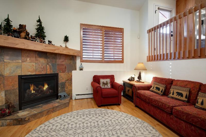 Park Forest Bear’s Den Townhome: Private Hot Tub - image 38