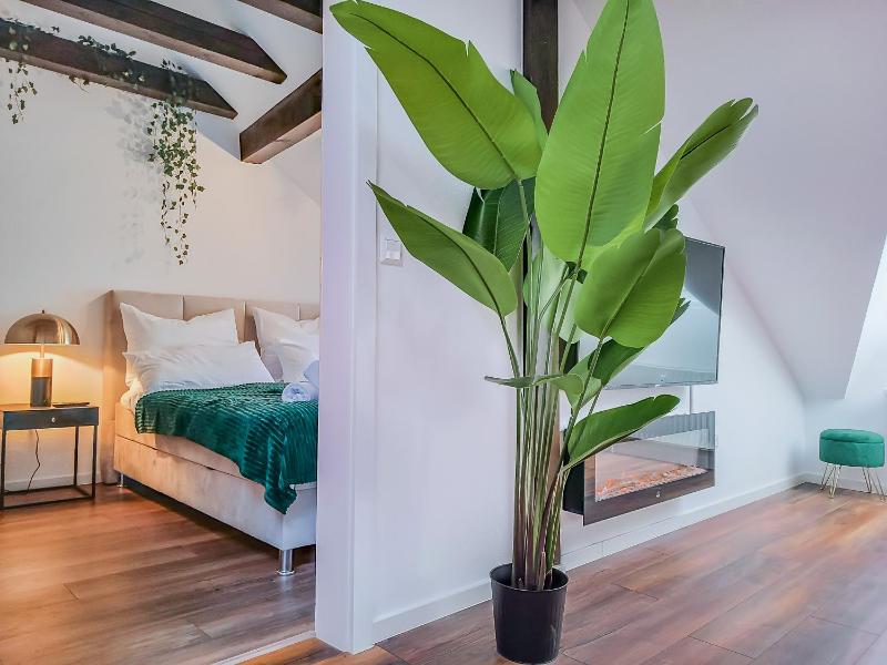Moonshine Apartment - Altstadtflair in der City mit Parkplatz und Home Office Images