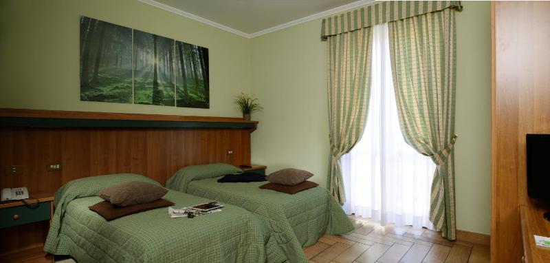 Standard Twin Room image 2