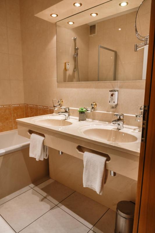 Large Double Room image 1