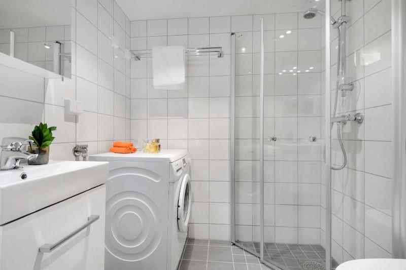 Two-Bedroom Apartment  image 4