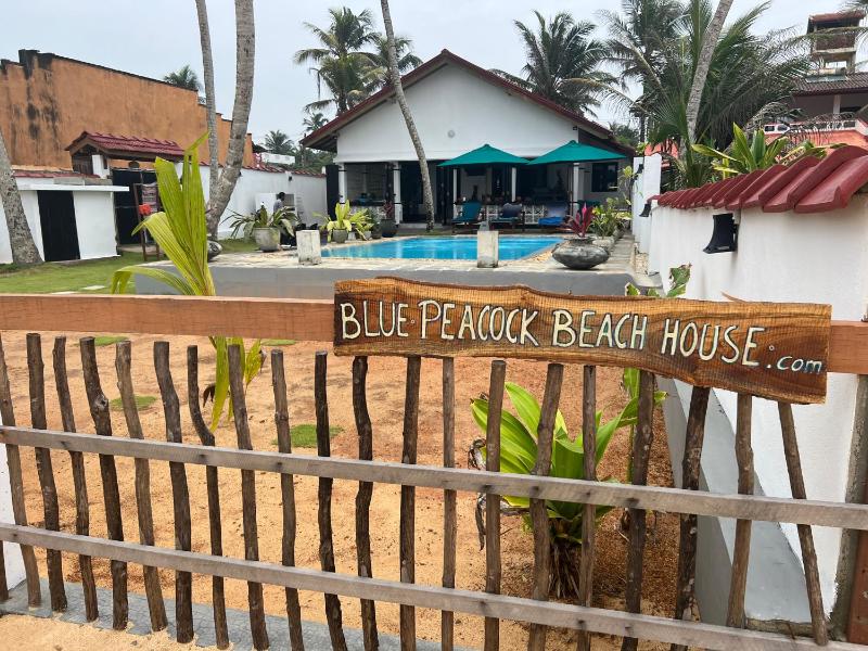 Blue Peacock Beach House - image 7
