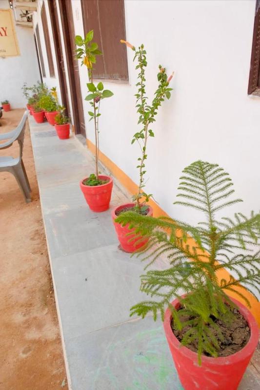Backpackers Karma Home Stay - image 4