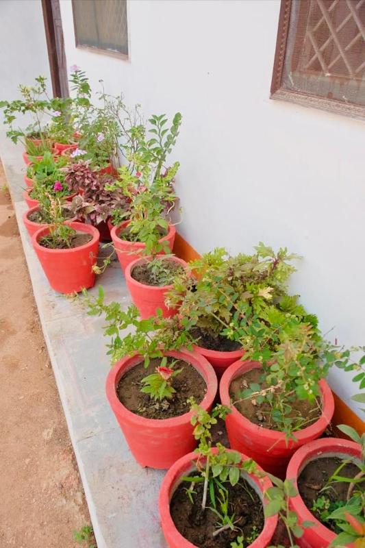 Backpackers Karma Home Stay - image 11